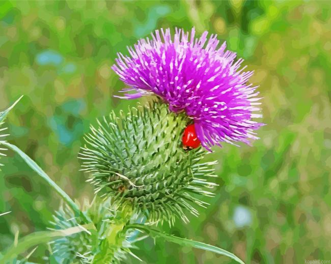 Scottish Thistle Painting By Numberss.png