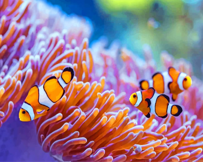Sea Anemones Painting By Numberss.png