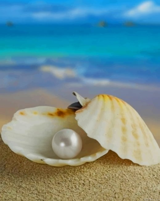 Sea Pearl New Painting By Numberss.png