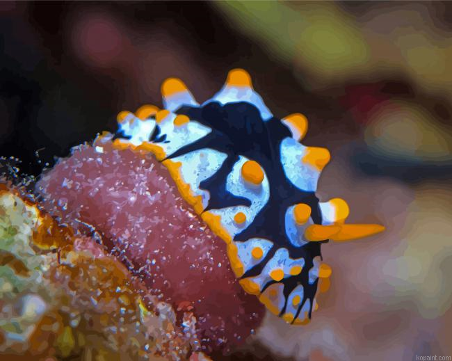 Sea Slug Animal Painting By Numberss.png