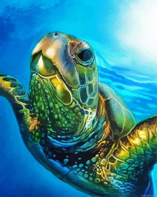 Sea Turtle In The Water Painting By Numberss.png