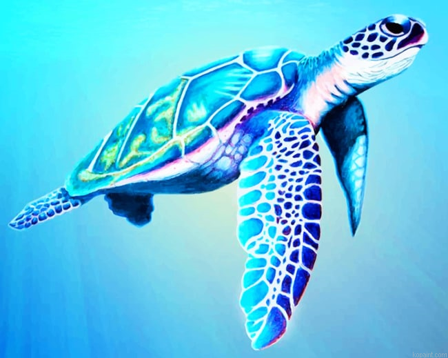 Sea Turtle Paint By Numbers