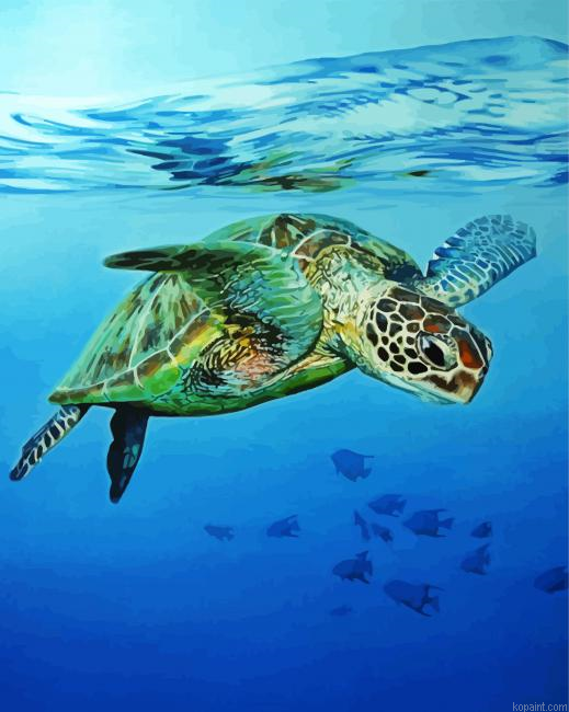 Sea Turtle Swimming In The Water Painting By Numberss.png