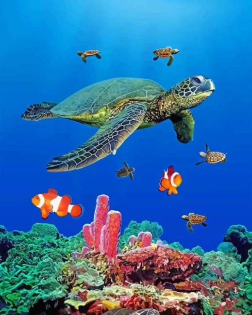 Sea Turtles Paint By Numbers