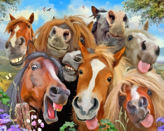Selfie Horses Painting By Numberss.png
