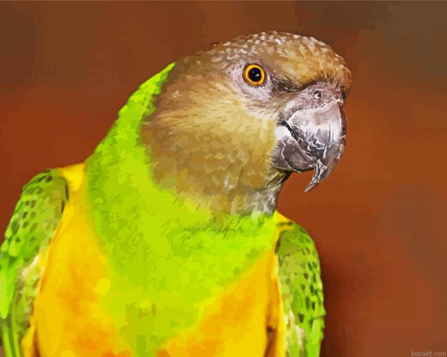 Senegal Bird Head Painting By Numberss.png