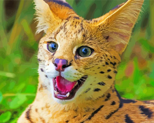 Serval Wild Cat Painting By Numberss.png