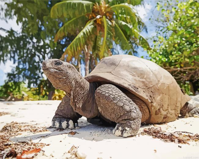 Seychelles Giant Tortoise At The Beach Painting By Numberss.png