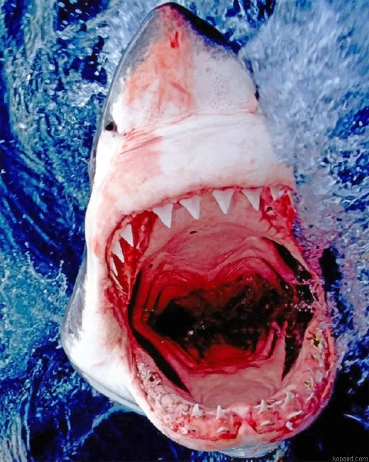 Shark Attacking Seascapes Painting By Numberss.png