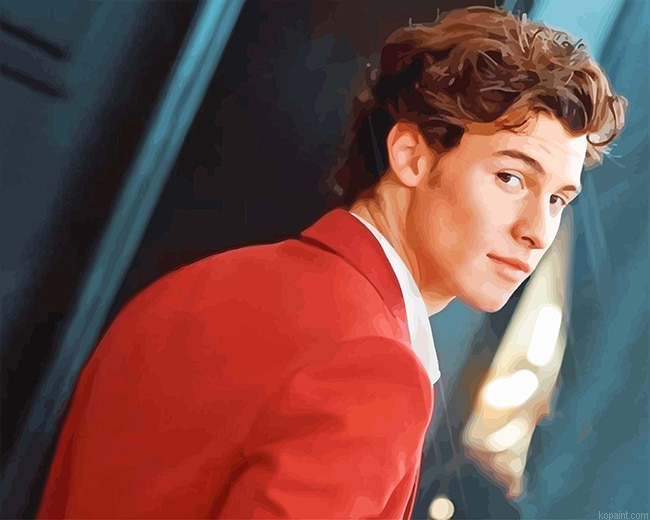 Shawn Mendes Looks New Painting By Numberss.png