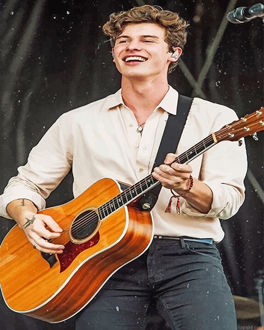 Shawn Mendes Playing Guitar New Painting By Numberss.png