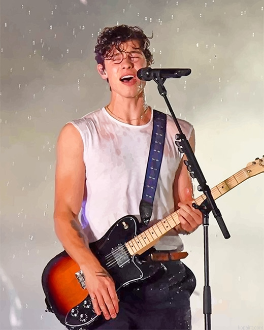 Shawn Mendes Singing On Stage New Painting By Numberss.png