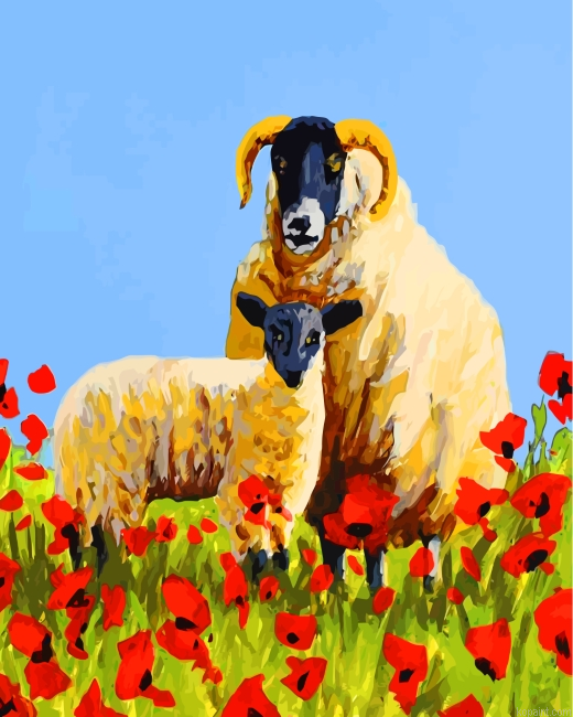 Sheep And Poppies Painting By Numberss.png