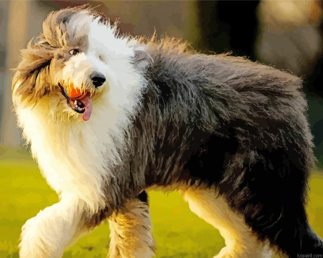 Sheep Dog Painting By Numberss.png