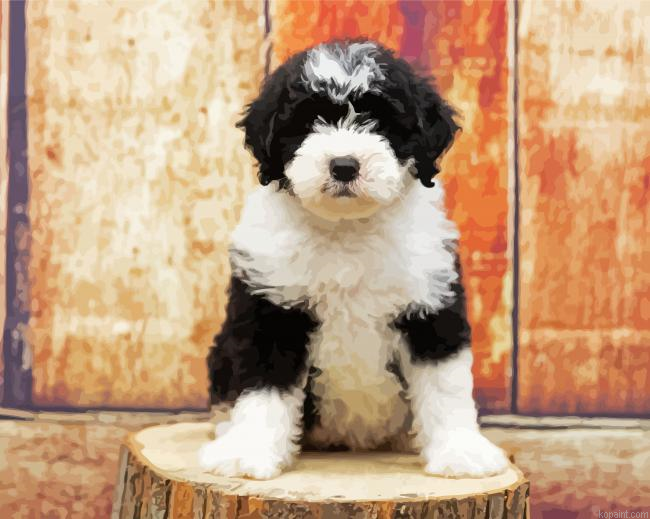 Sheepadoodles Dog Puppy Painting By Numberss.png