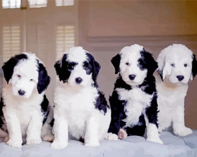Sheepadoodles Dogs Painting By Numberss.png