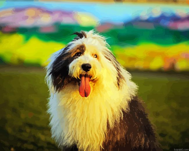 Sheepdog Paint By Numbers.png
