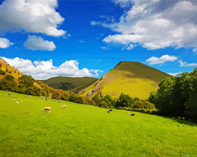 Sheeps In Dovedale Mountains Painting By Numberss.png