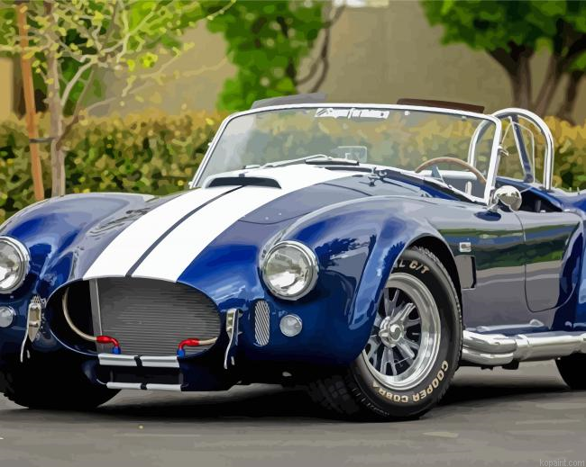 Shelby Cobra Car Paint By Numbers