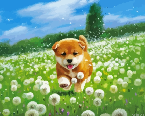 Shiba Puppy In Field Painting By Numberss.png