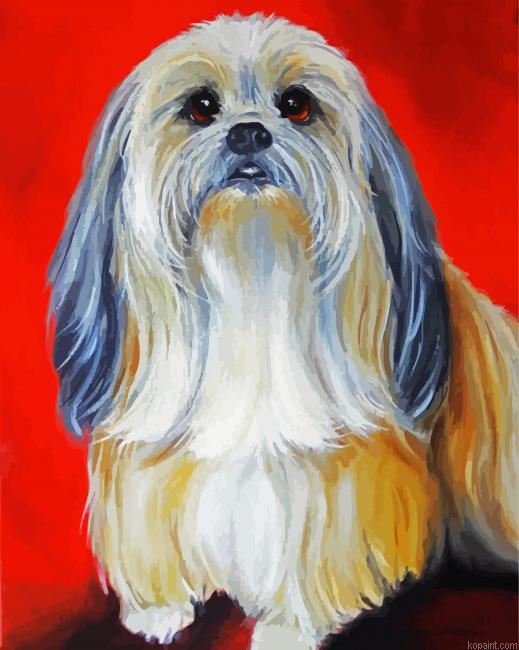 Shih Tzu Dog Art Paint By Numbers.png