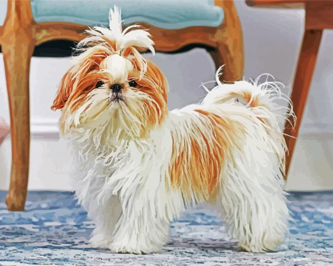 Shih Tzu Dog Paint By Numbers.png