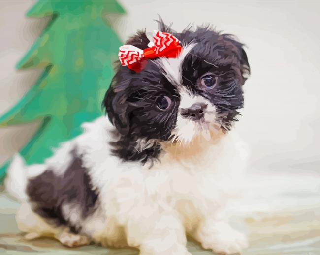 Shih Tzu Dog Puppy Painting By Numberss.png