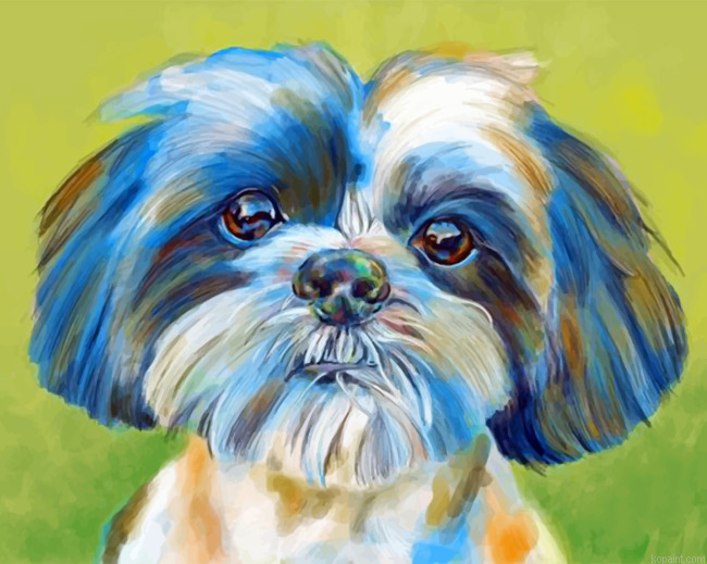 Shih Tzu Pet Painting By Numberss.png
