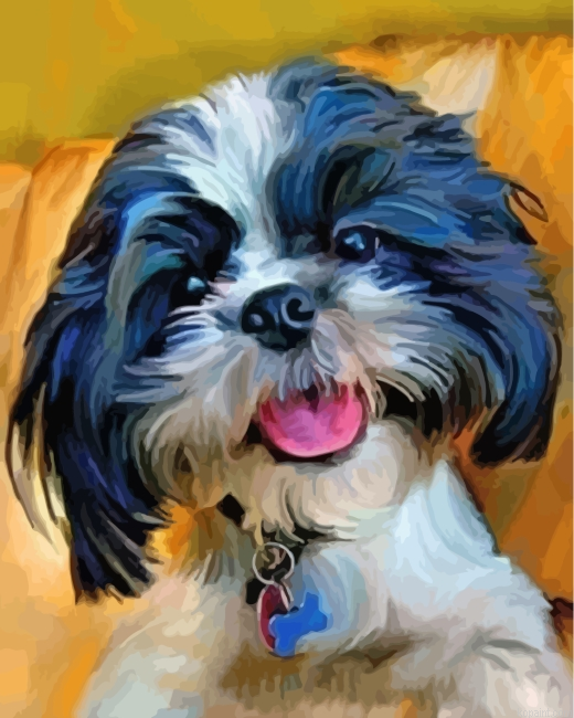 Shih Tzy Dog Painting By Numberss.png