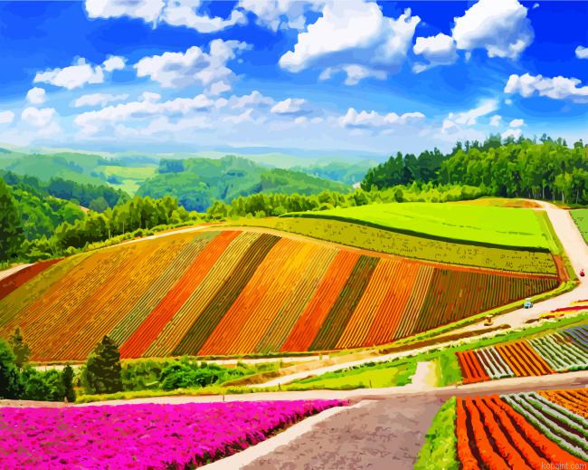 Shikisai No Oka Hokkaido Painting By Numberss.png