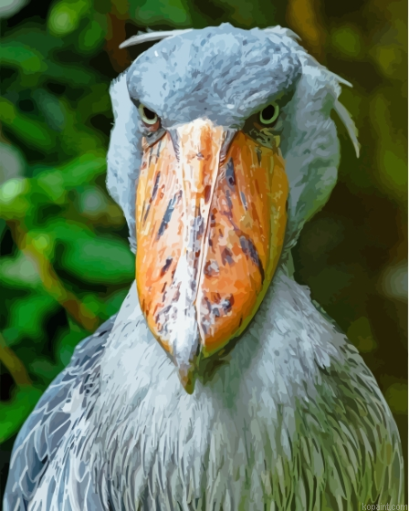 Shoebill Head Painting By Numberss.png