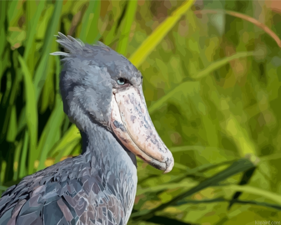Shoebill Side View Painting By Numberss.png