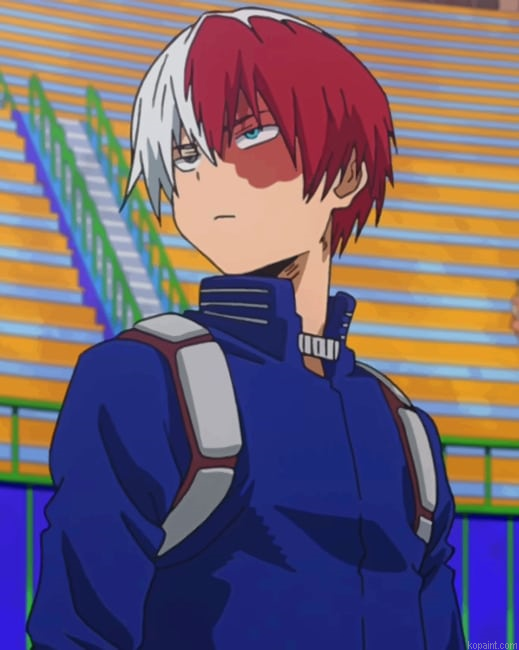 Shoto Todoroki New Painting By Numberss.png