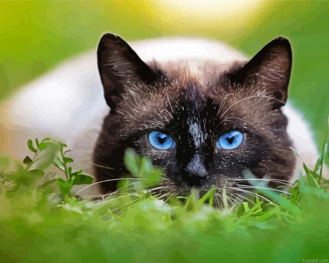 Siamese Cat Painting By Numberss.png