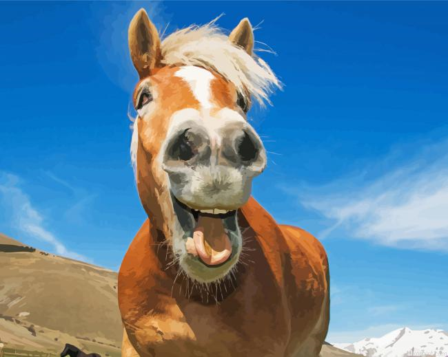 Silly Horse Painting By Numberss.png