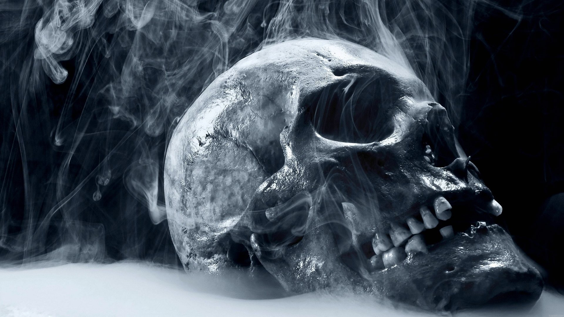 Skull And Smoke Still Life Painting By Numberss.png