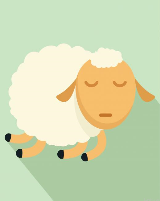 Sleep Sheep Animal Painting By Numberss.png