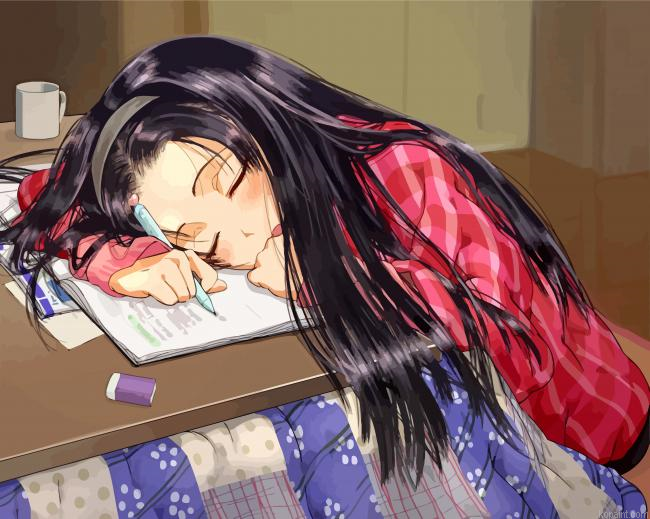 Sleepy Anime Girl Painting By Numberss.png