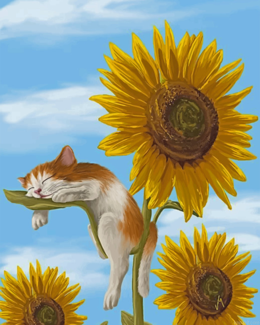 Sleepy Cat And Sunflowers Painting By Numberss.png