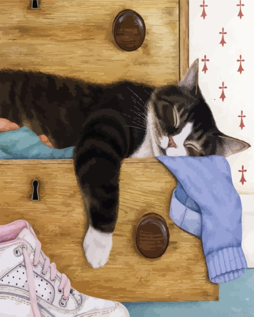 Sleepy Cat Painting By Numberss.png