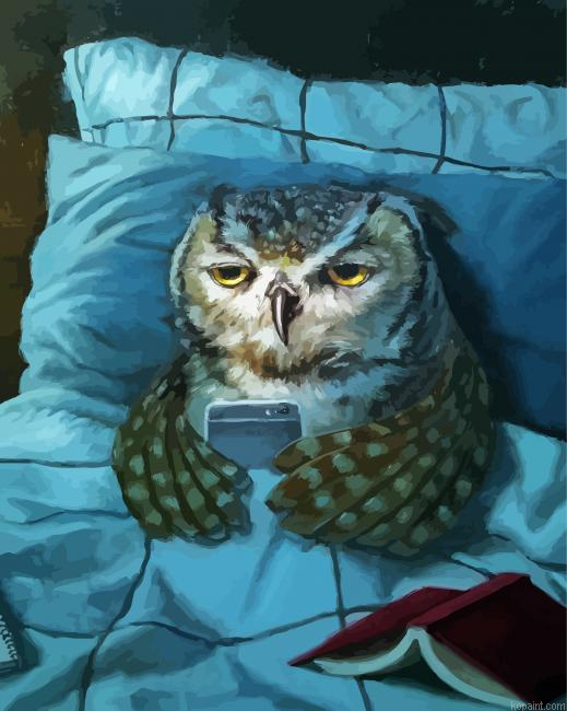 Sleepy Owl Lucia Hefferna Paint By Numbers