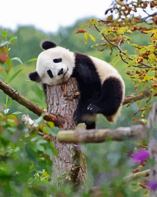 Sleepy Panda Animal Painting By Numberss.png