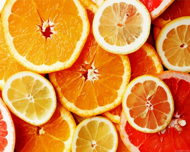 Sliced Citrus Fruits Paint By Numbers.png