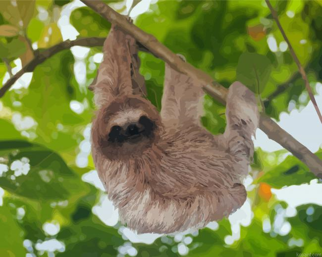 Sloth In A Tree Painting By Numberss.png