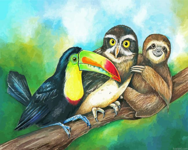 Sloth With Toucan And Owl Paint By Numbers.png