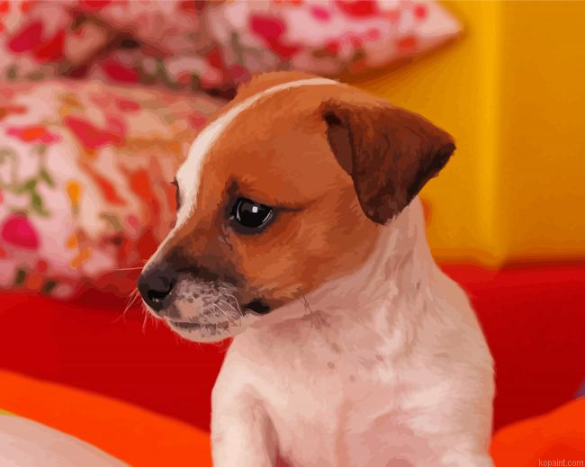 Small Jack Russell Painting By Numberss.png