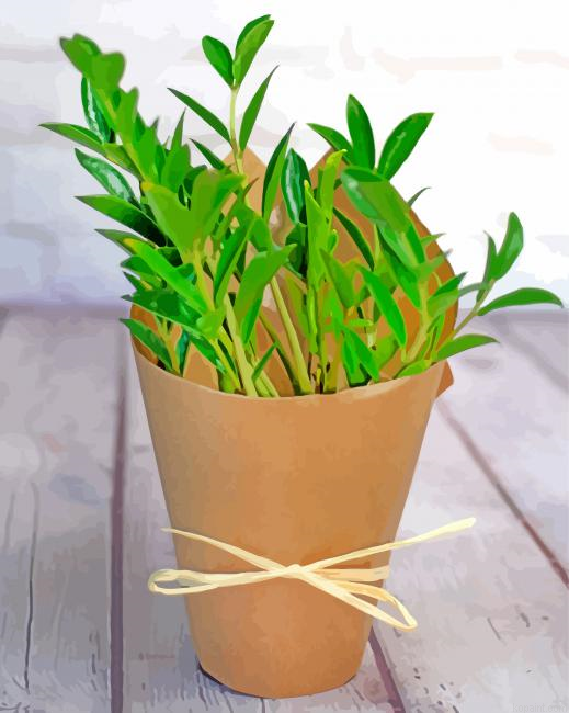 Small Zamioculcas Plants Paint By Numbers.png
