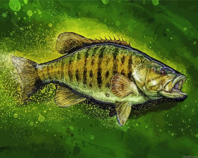 Smallmouth Fish Illustration Painting By Numberss.png