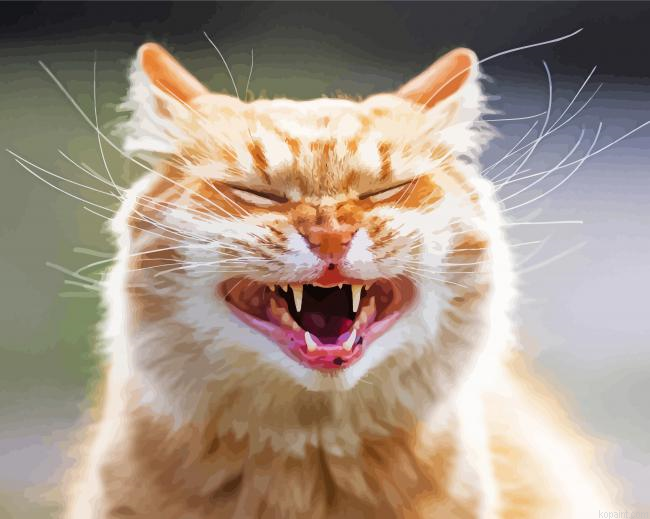 Smiling Cat Painting By Numberss.png