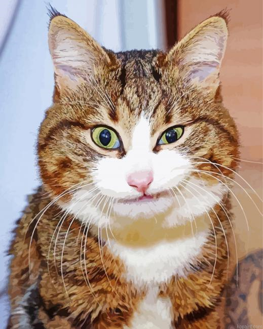 Smirk Cat Painting By Numberss.png